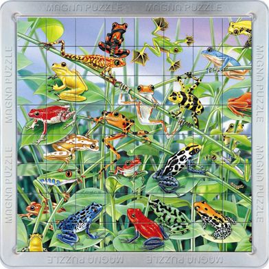 3D Magna Puzzle - Frogs 64 tiles