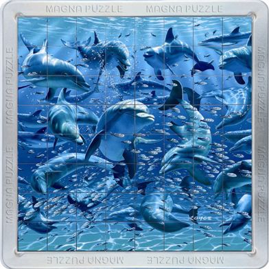 3D Magna Puzzle - Dolphins 64 tiles