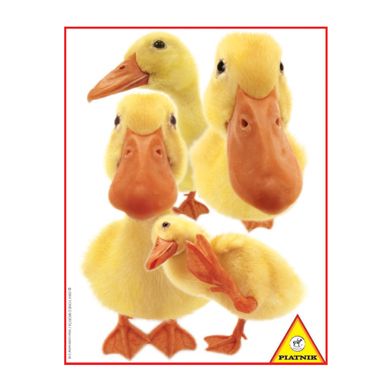 Hanadeka  “Ducks” – 100 pcs puzzle
